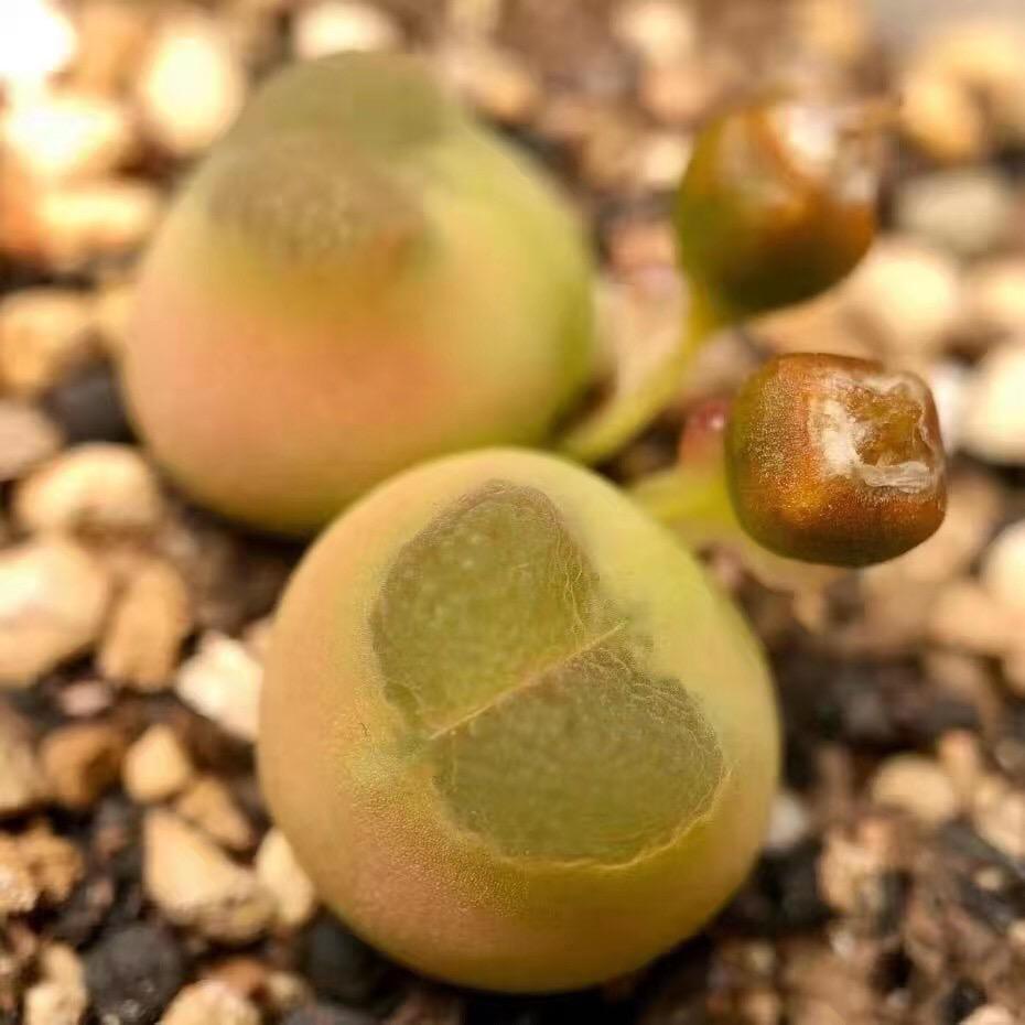 🌈🌈🌈莪䓳懒