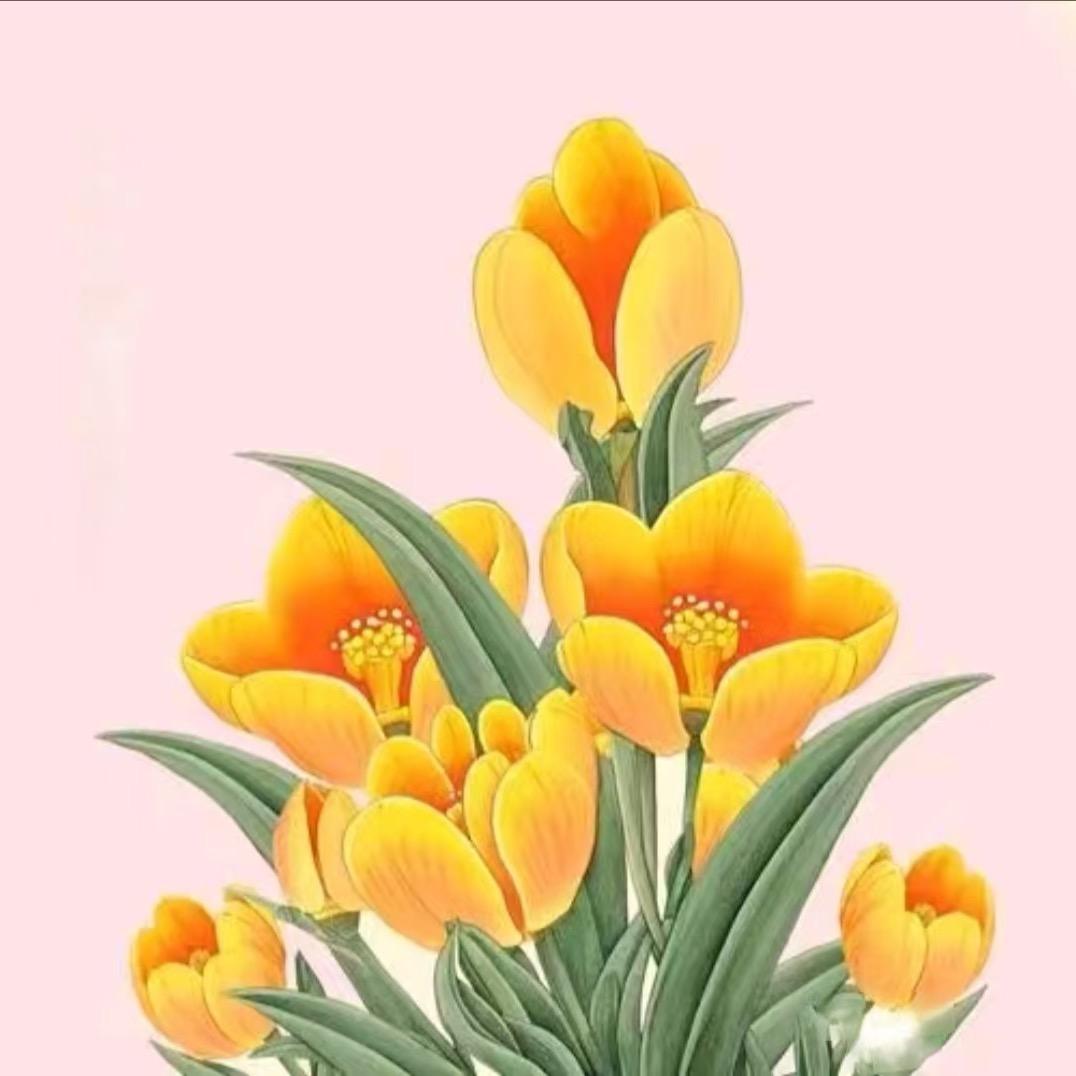 欣妍