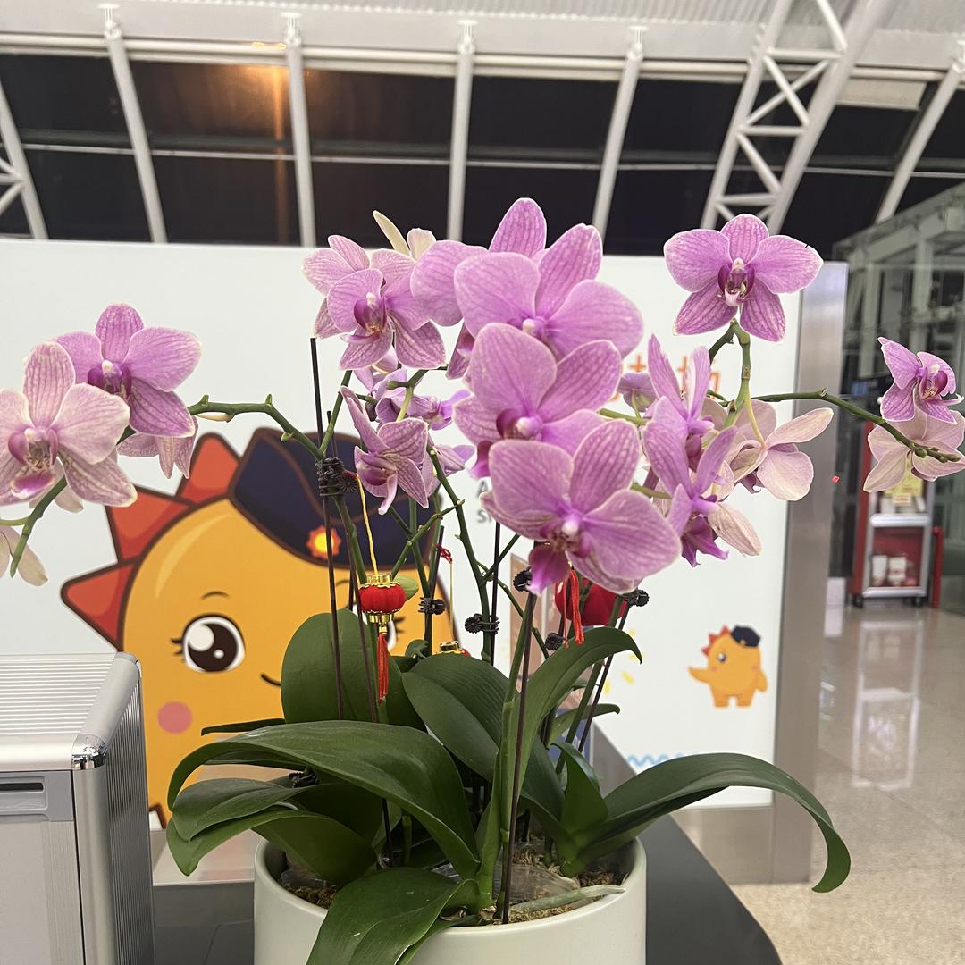 翰锦科技