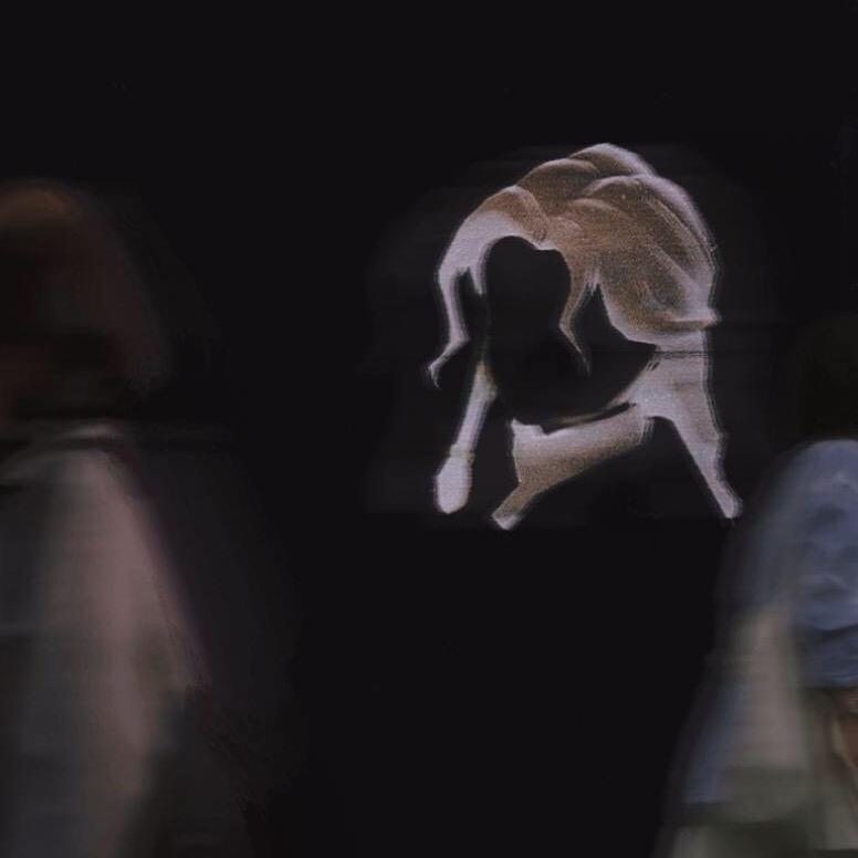 小罗小罗睡不醒