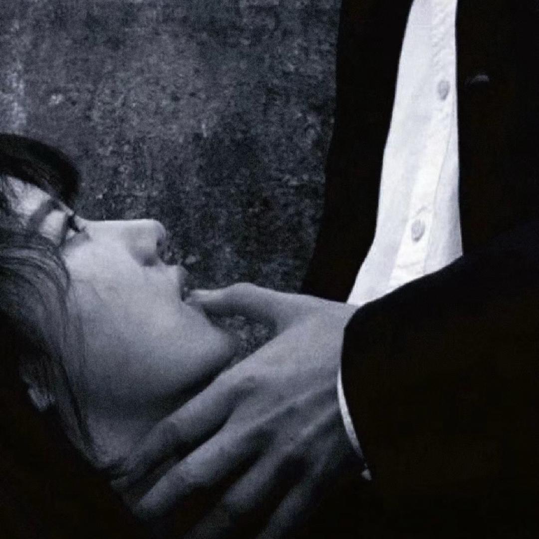 献给阿尔吉侬的花束🌙