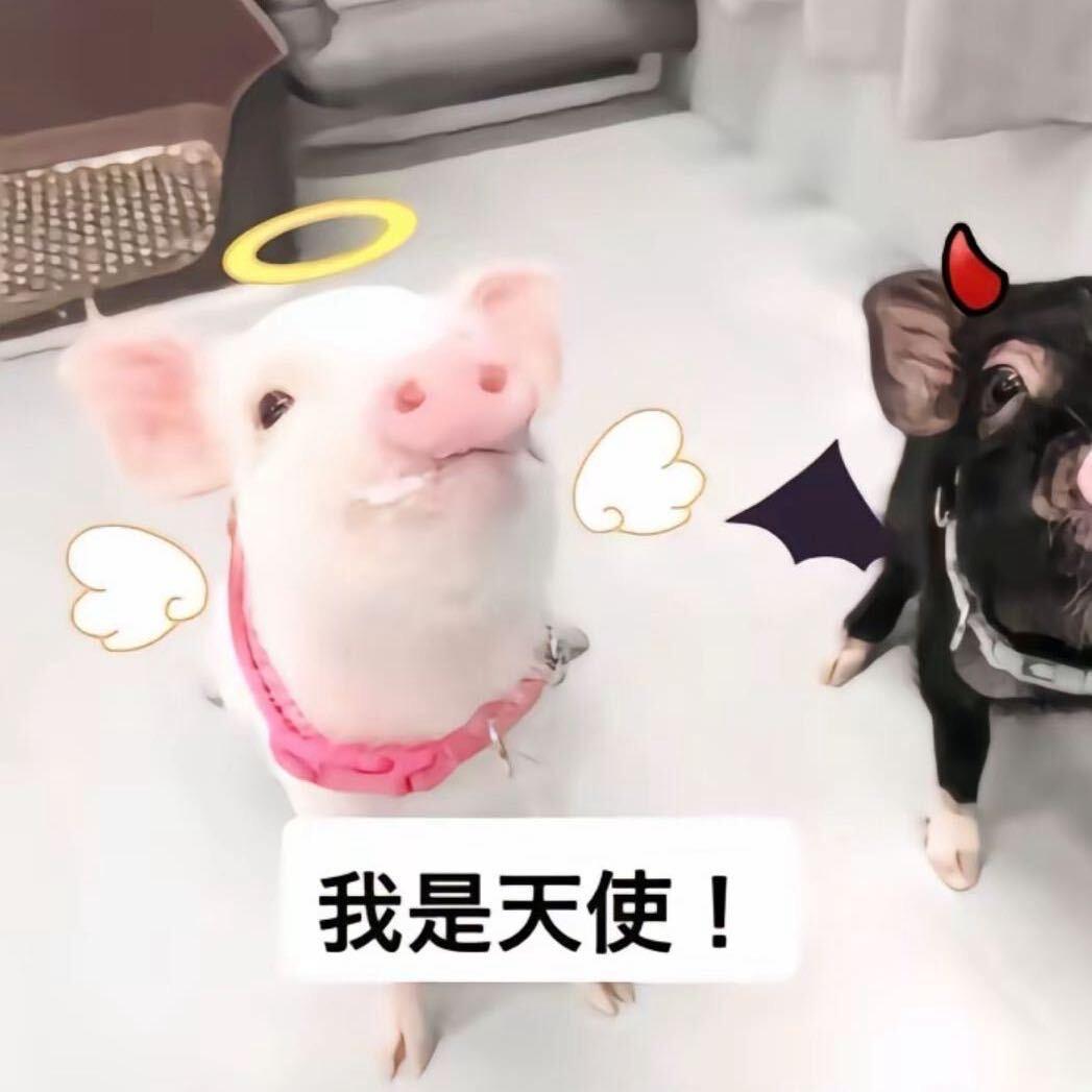 土豆超级大🥔（求推荐版）