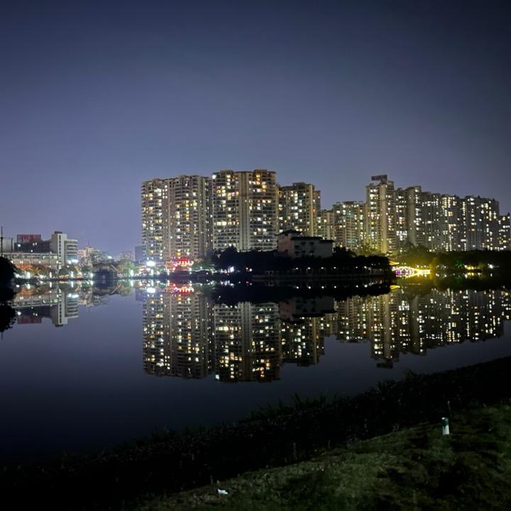 上进小黄