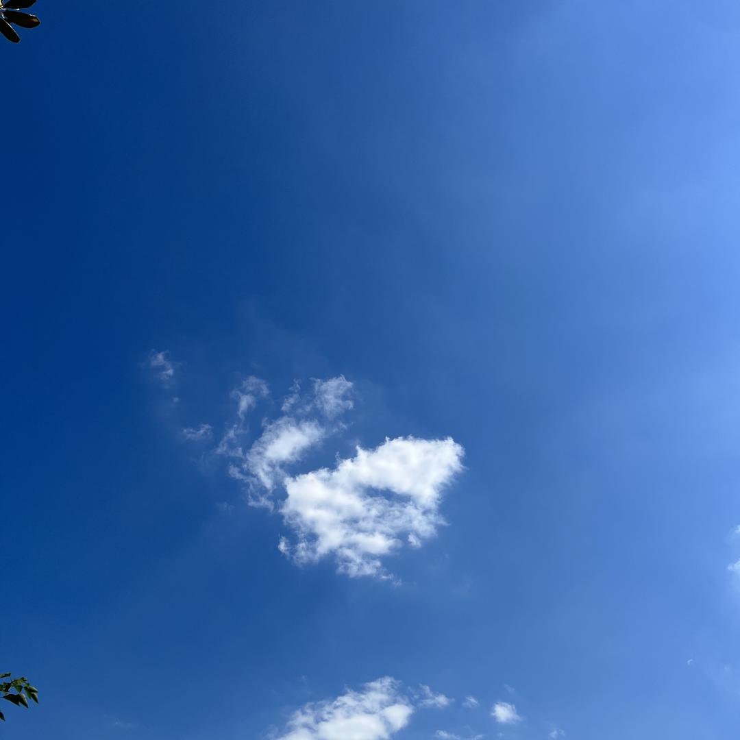 农村人钓大鱼