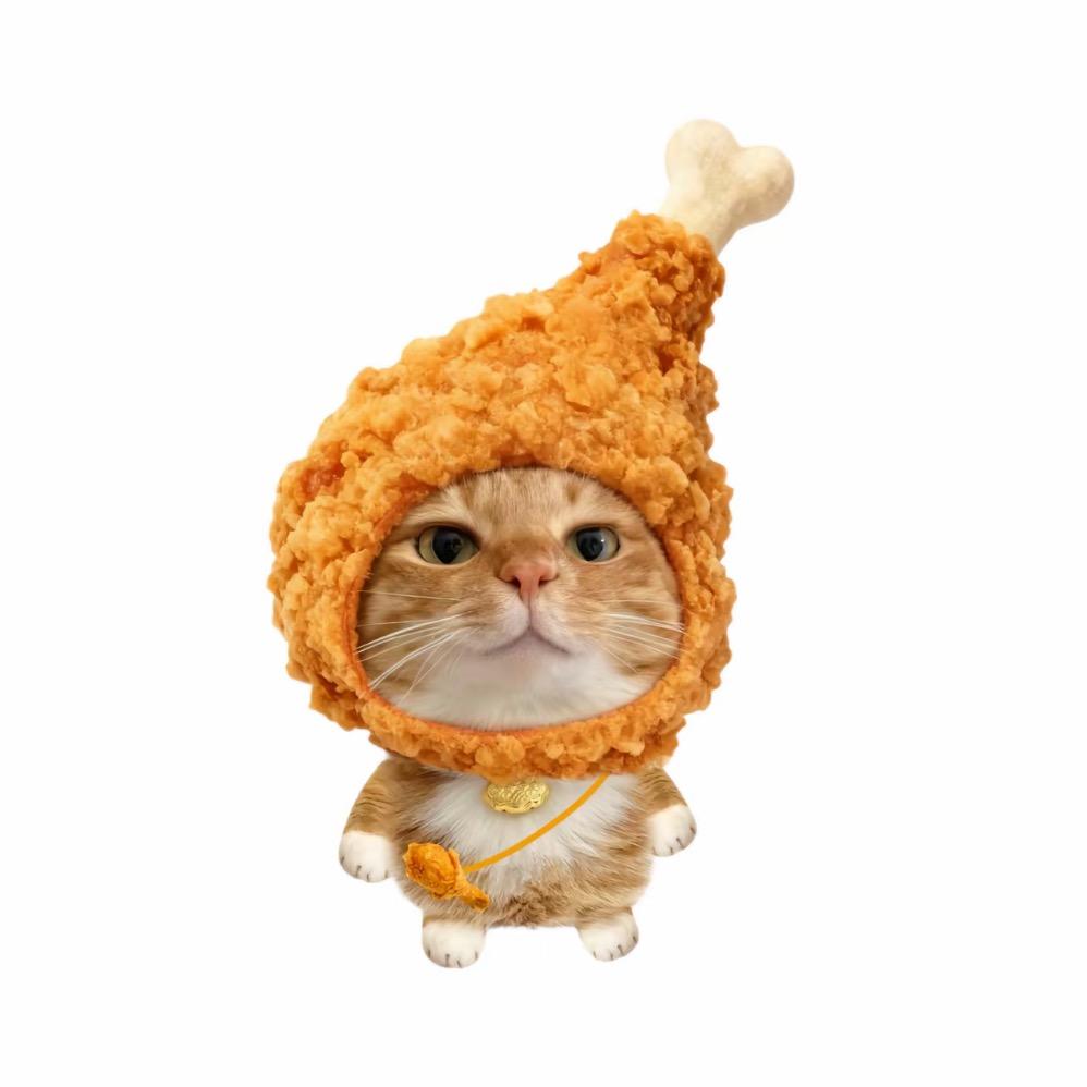 爱跑酷的猫星人