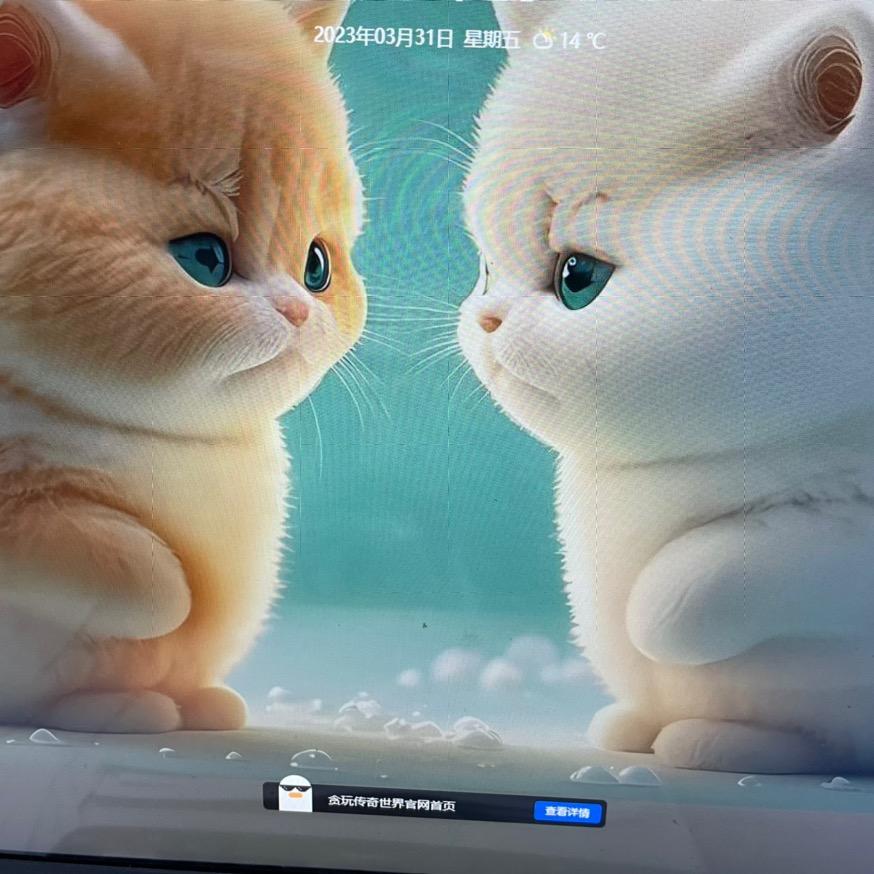 🐠鱼