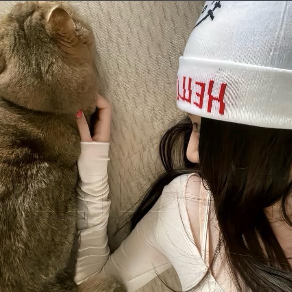 不眠岛