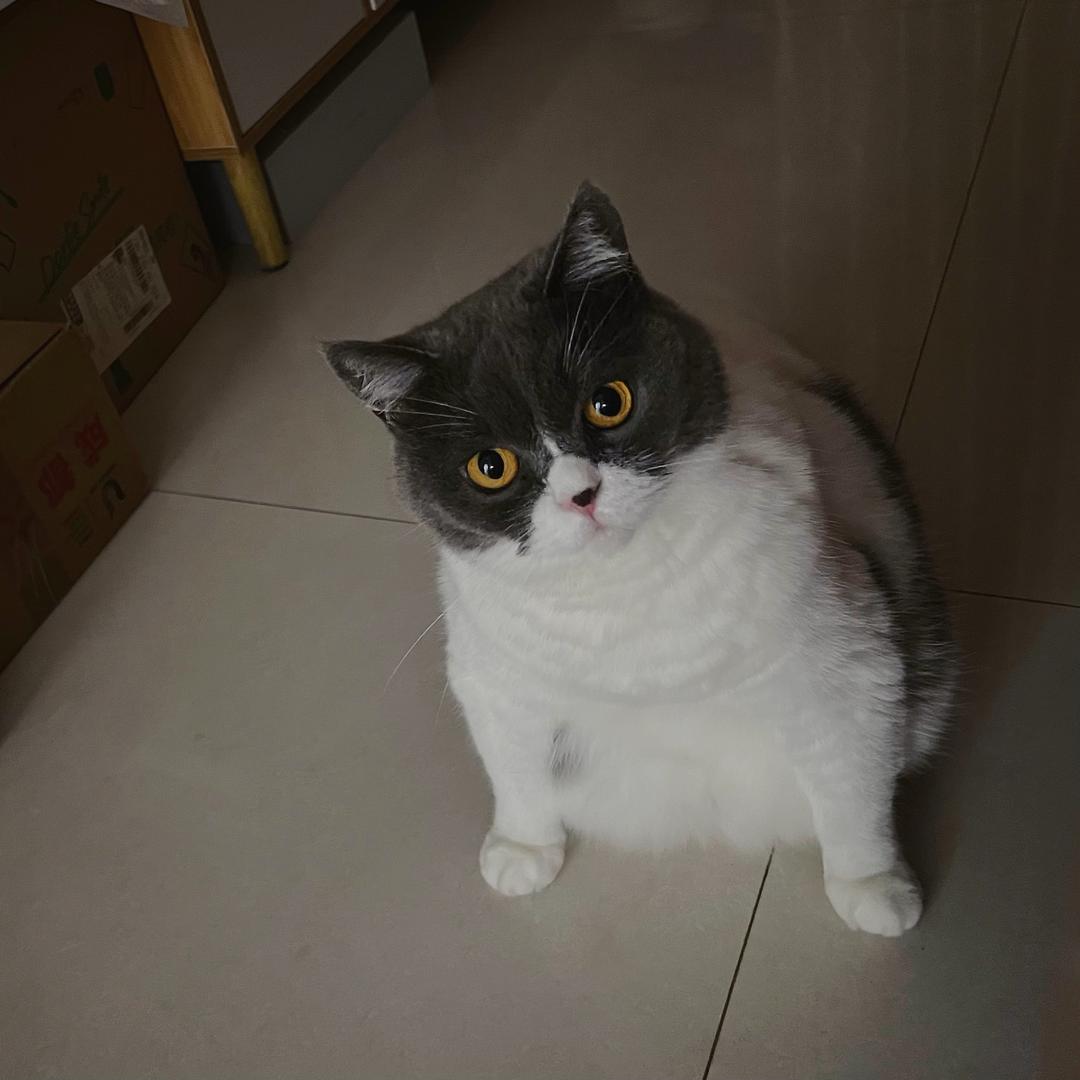 MioaehyunS头像