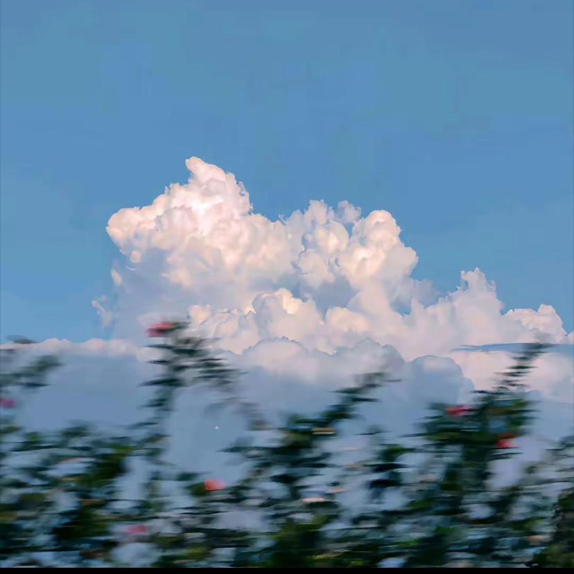 大嘟嘟嘟嘟嘟💜
