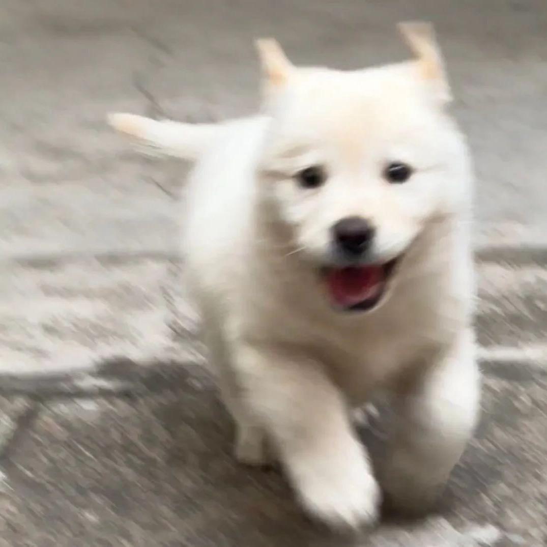 五一