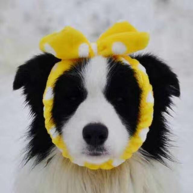 瓜籽米米（lolm）