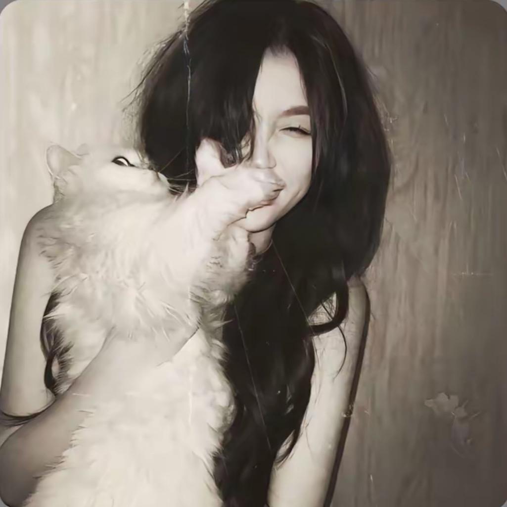 苏东坡的肉