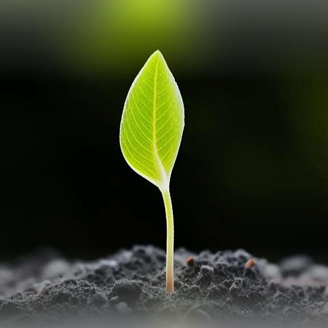 脑卒中(陪母康复之路)