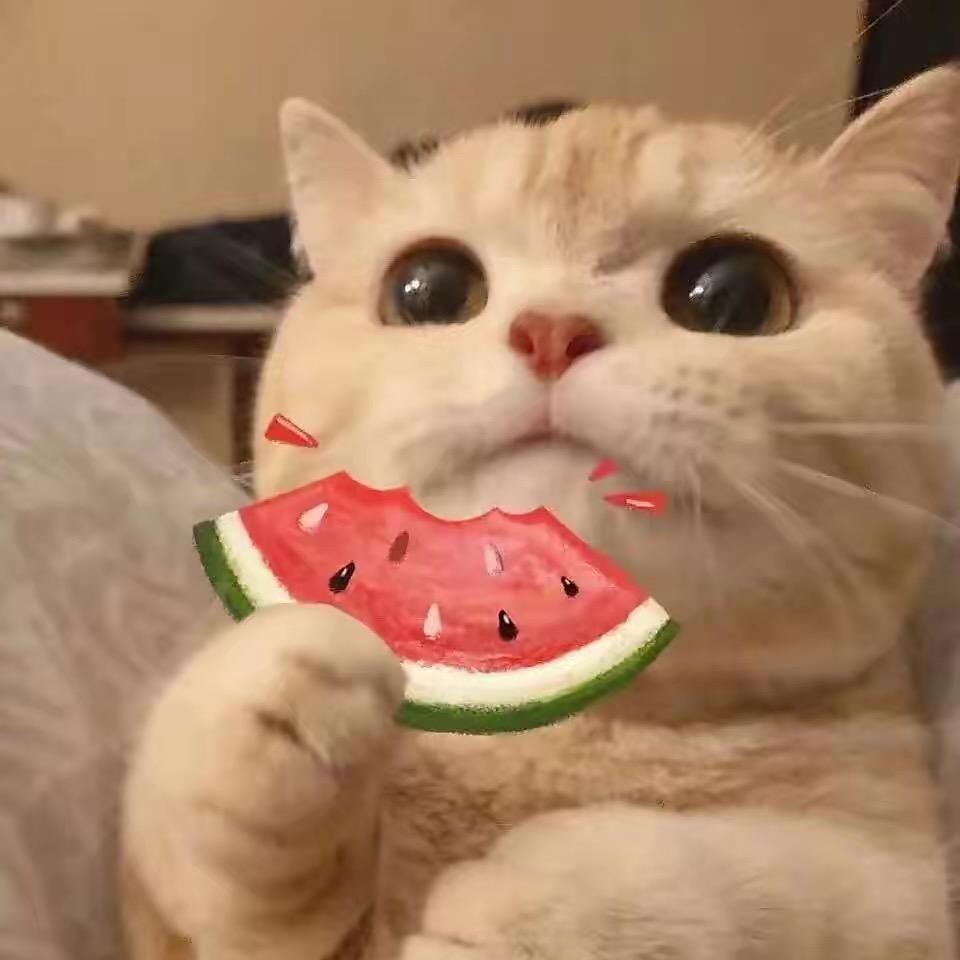 . 思语手作🌻.
