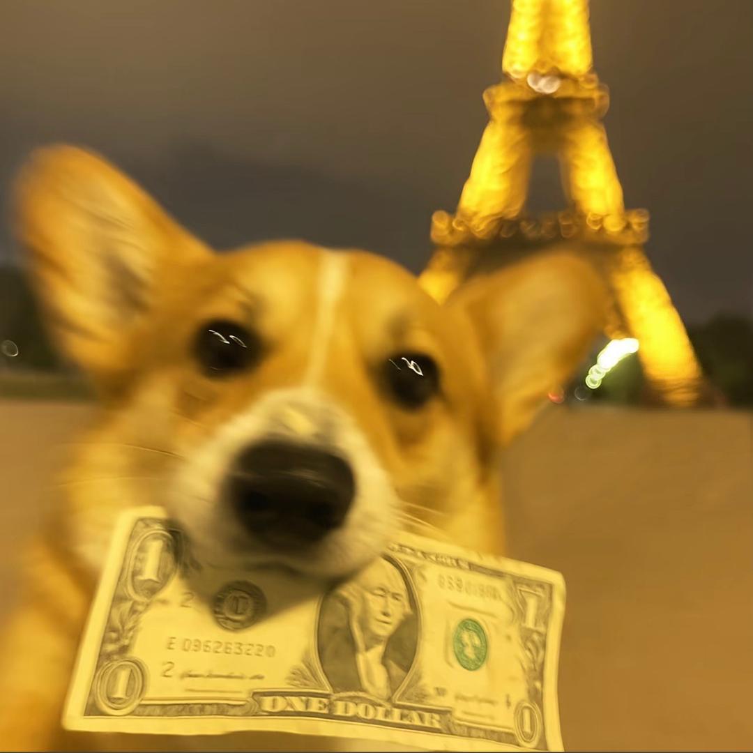 风水轮刘转☯︎