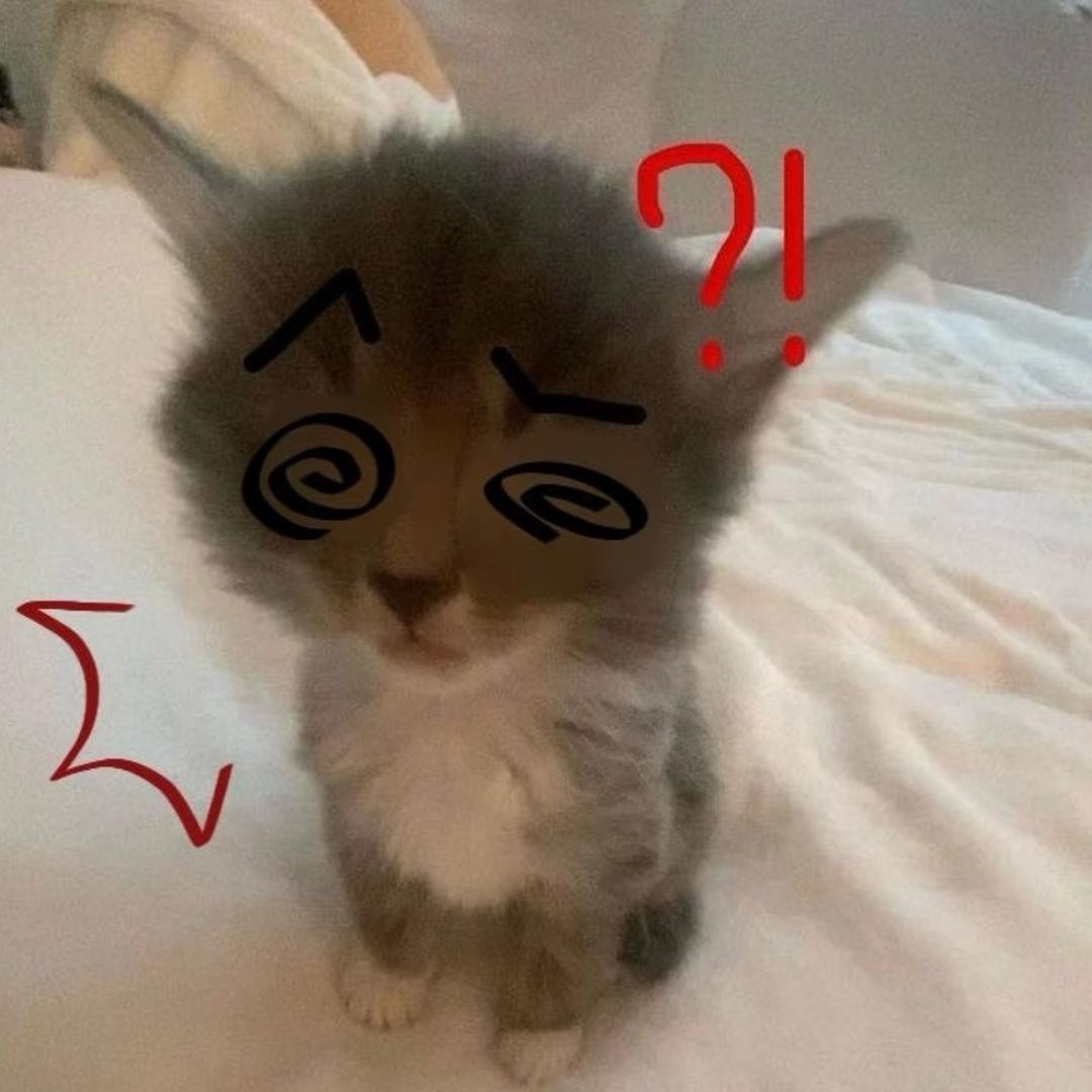 为什么愛总是打水漂