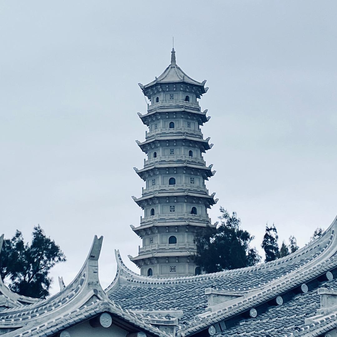 陇西茶业