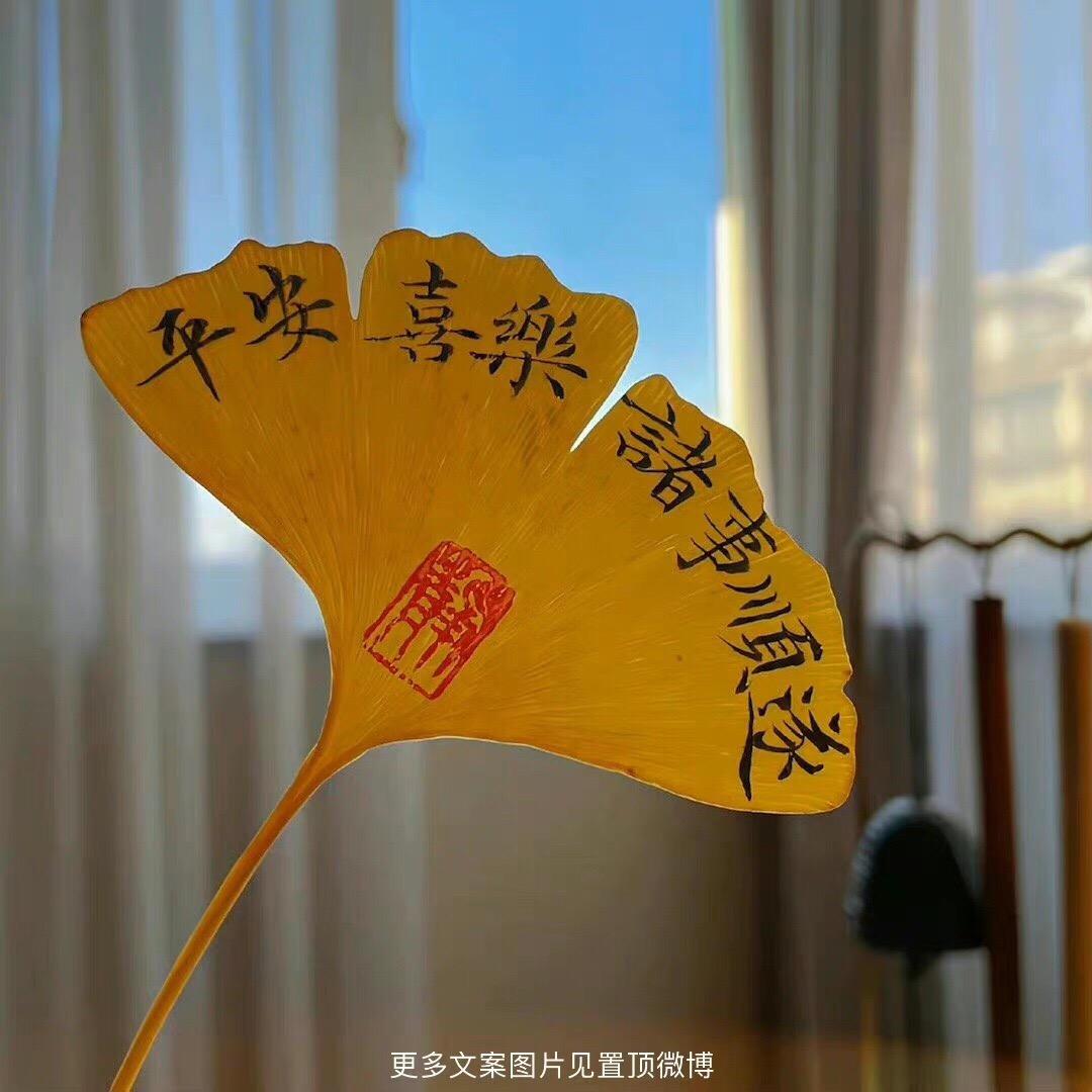 好好生活💤👄