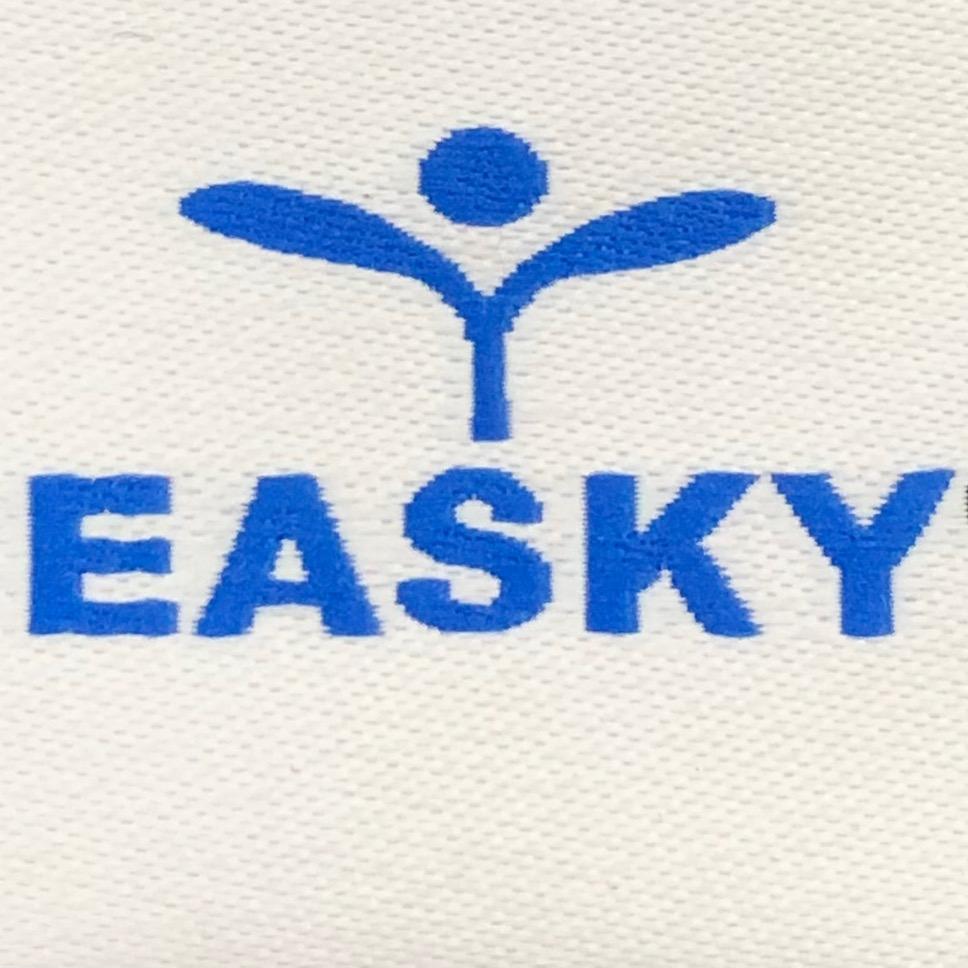 艺思奇｜Easky