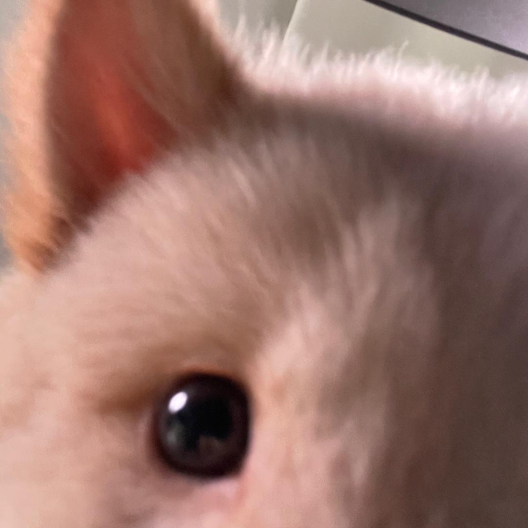 豆花