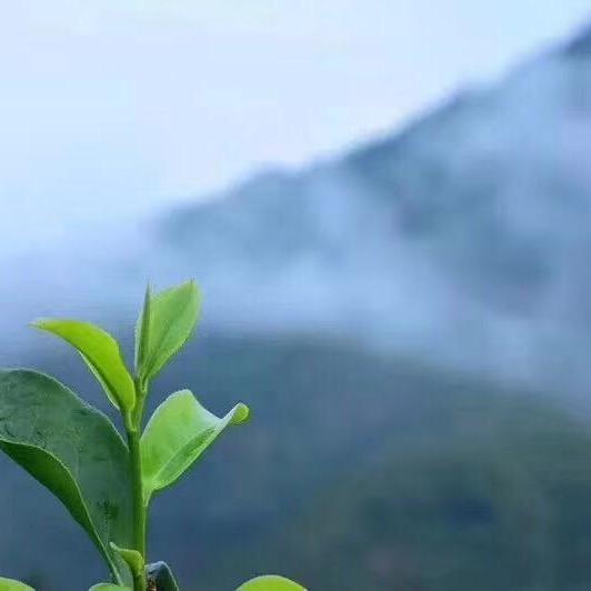 汕头市澄海区韵香园茶业店