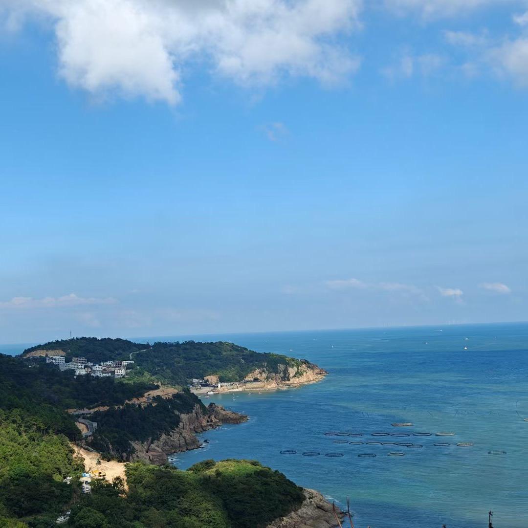 霹雳娇鹅