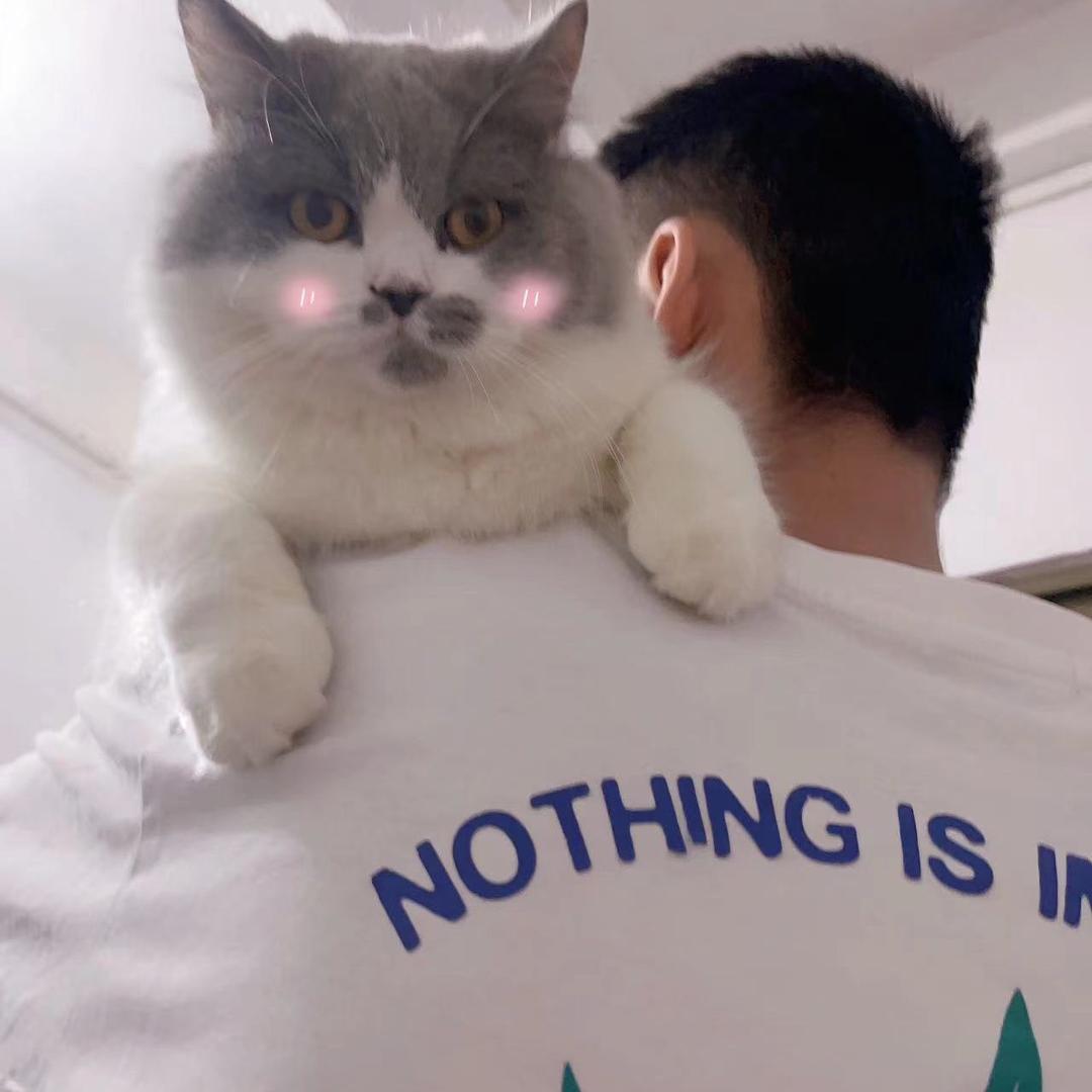 WY。
