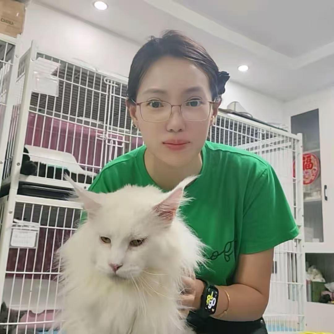 布依喵喵缅因猫舍直播号