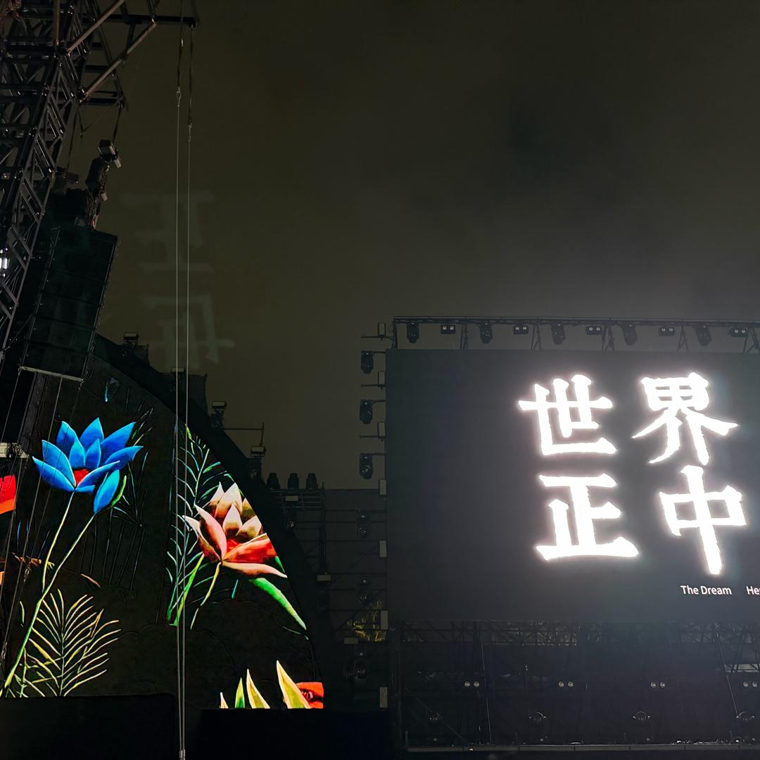 姜姜喵喵头像