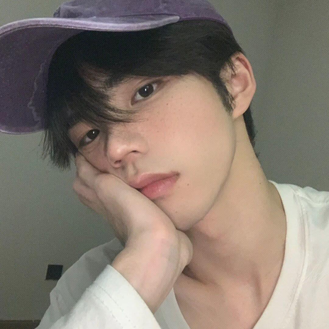 蓝莓🫐