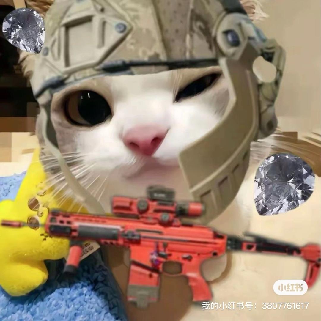 三角洲寻宝鼠（顶级游龙）