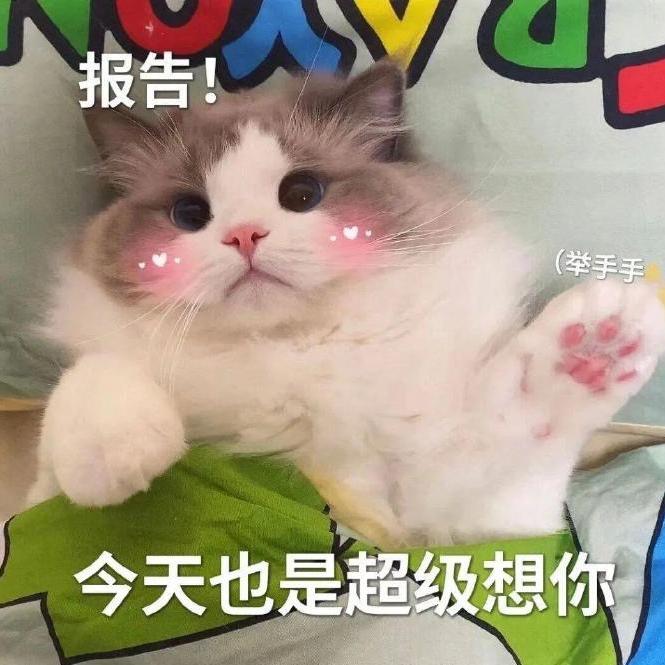 小小糯米