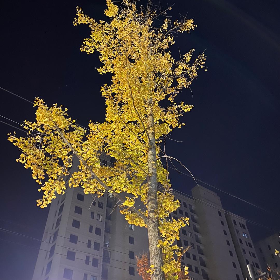 太阳当空照