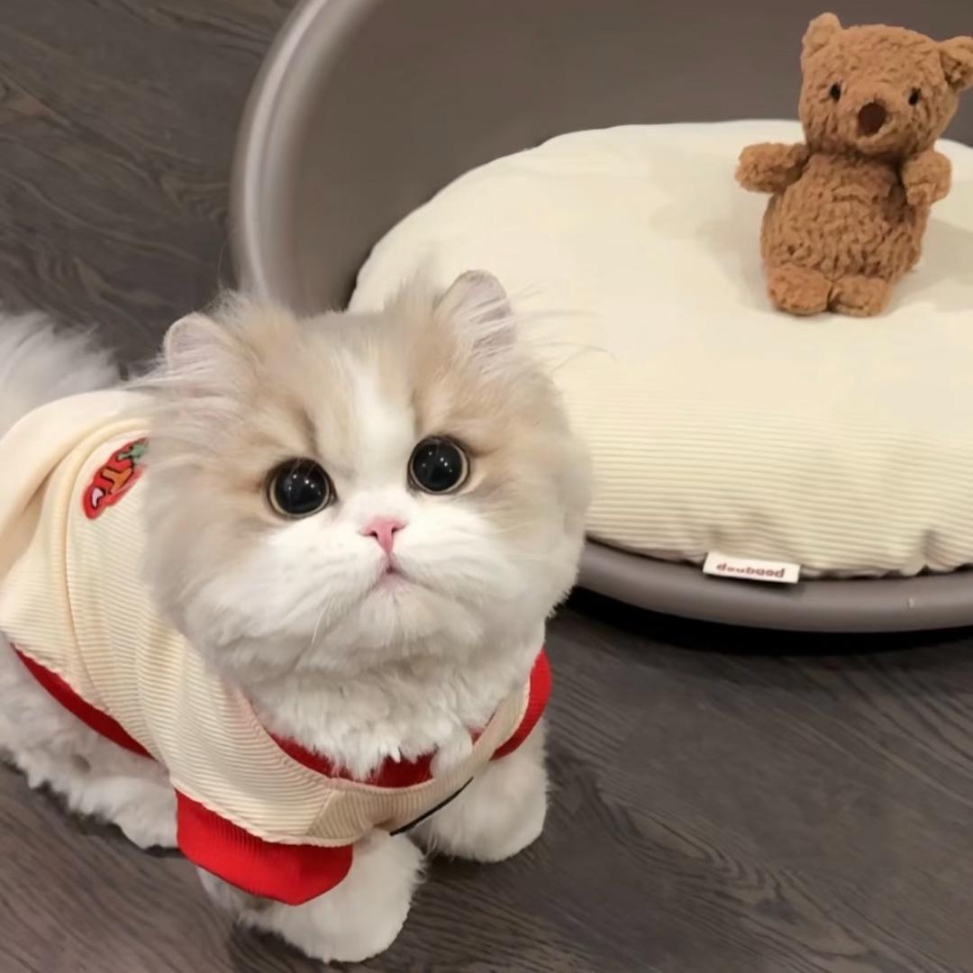 抱抱