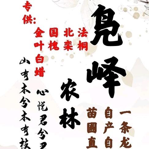 凫峄农林