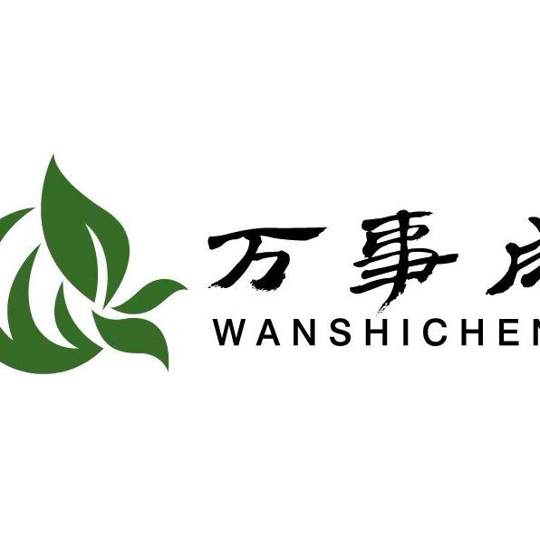 万事成紫笋茶