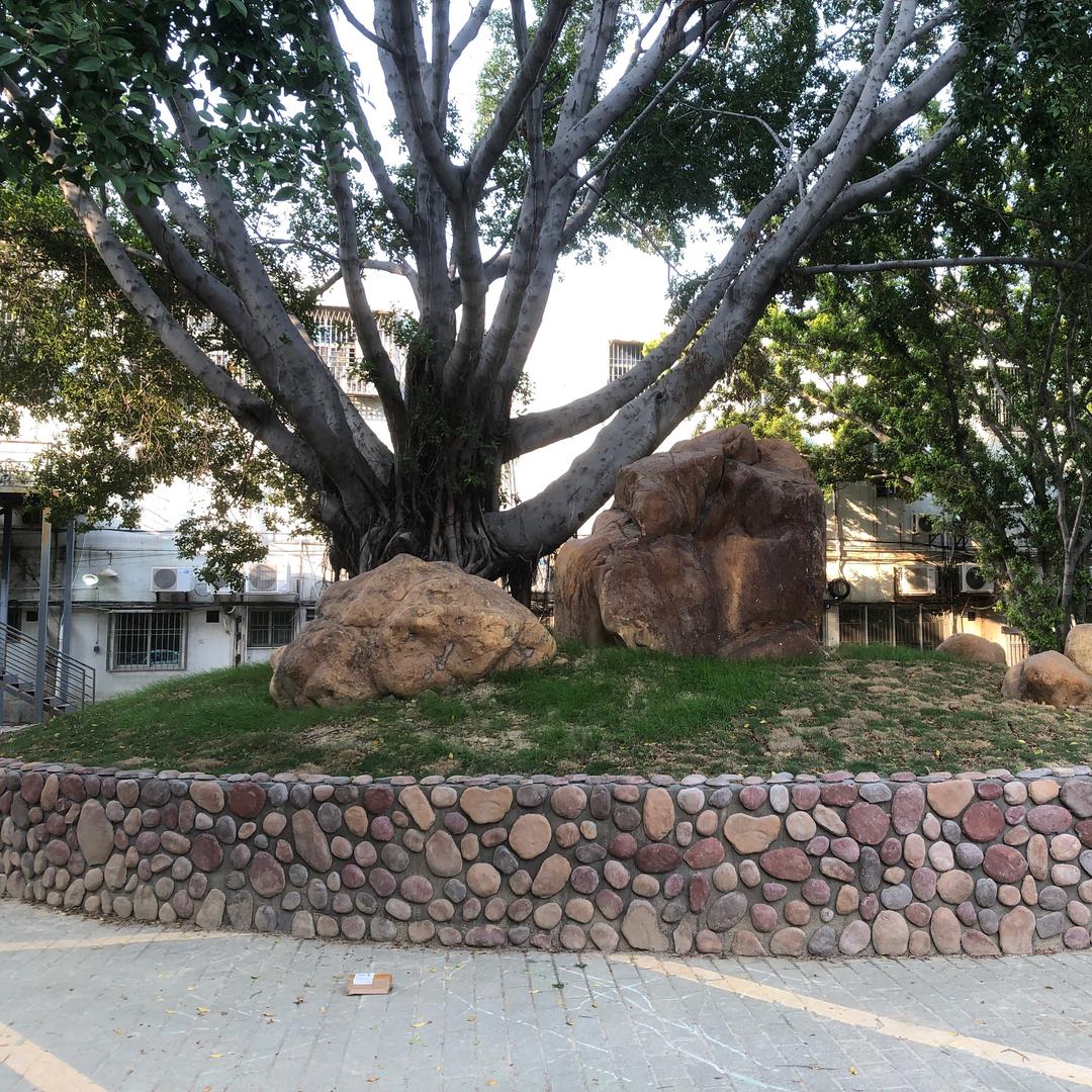 省米001