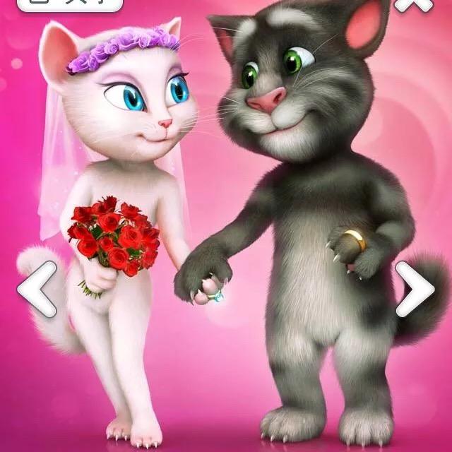 惠东：🈴️新汽配