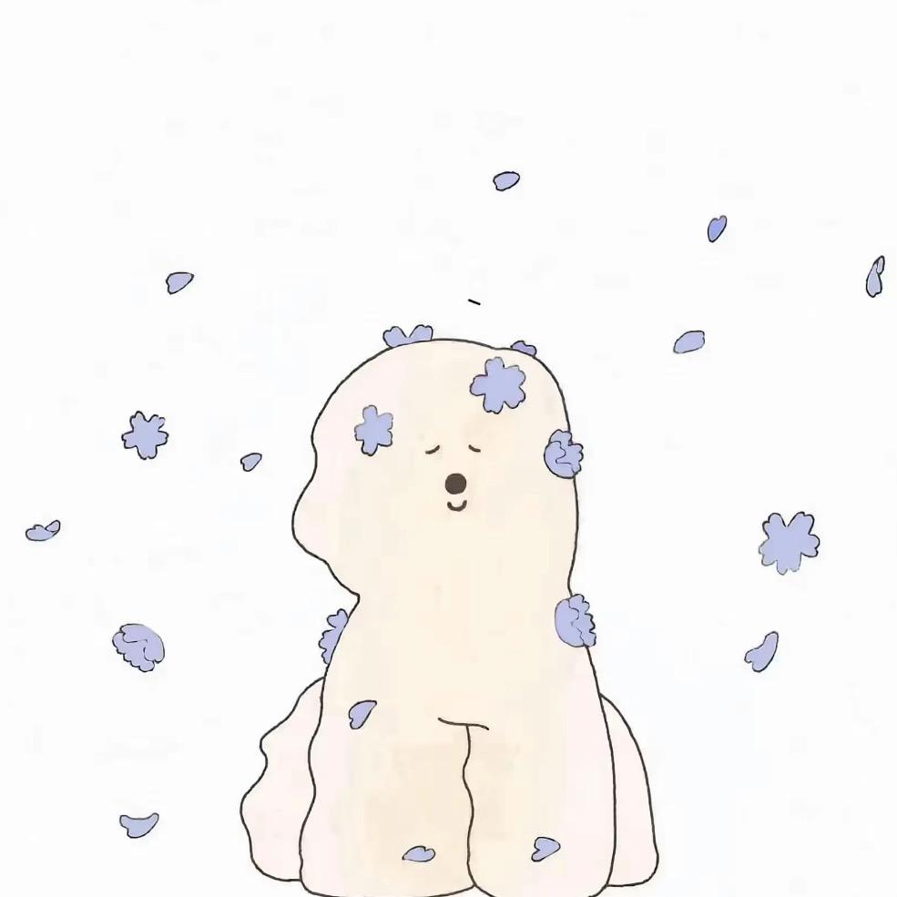 赵露思！