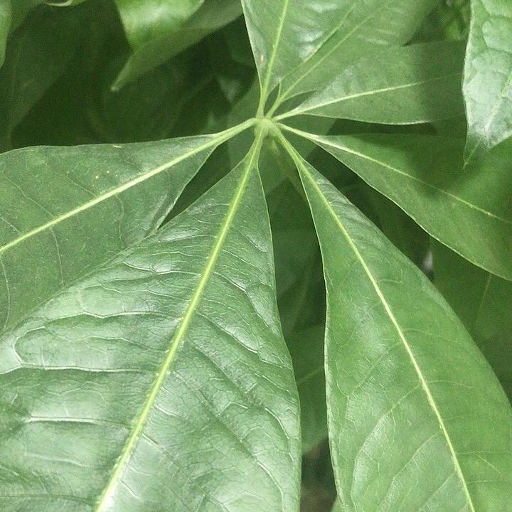 健康快乐每一天