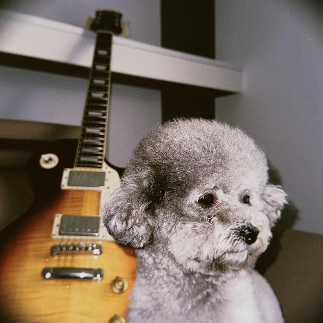 小潘🎸