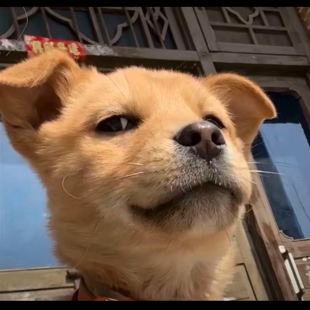 嘿嘿