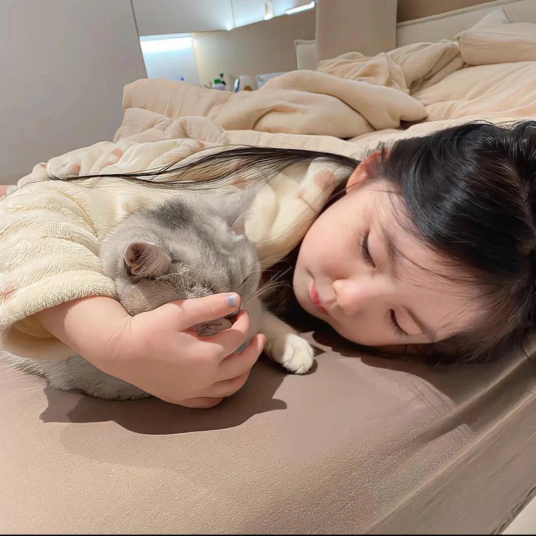 懒懒魚