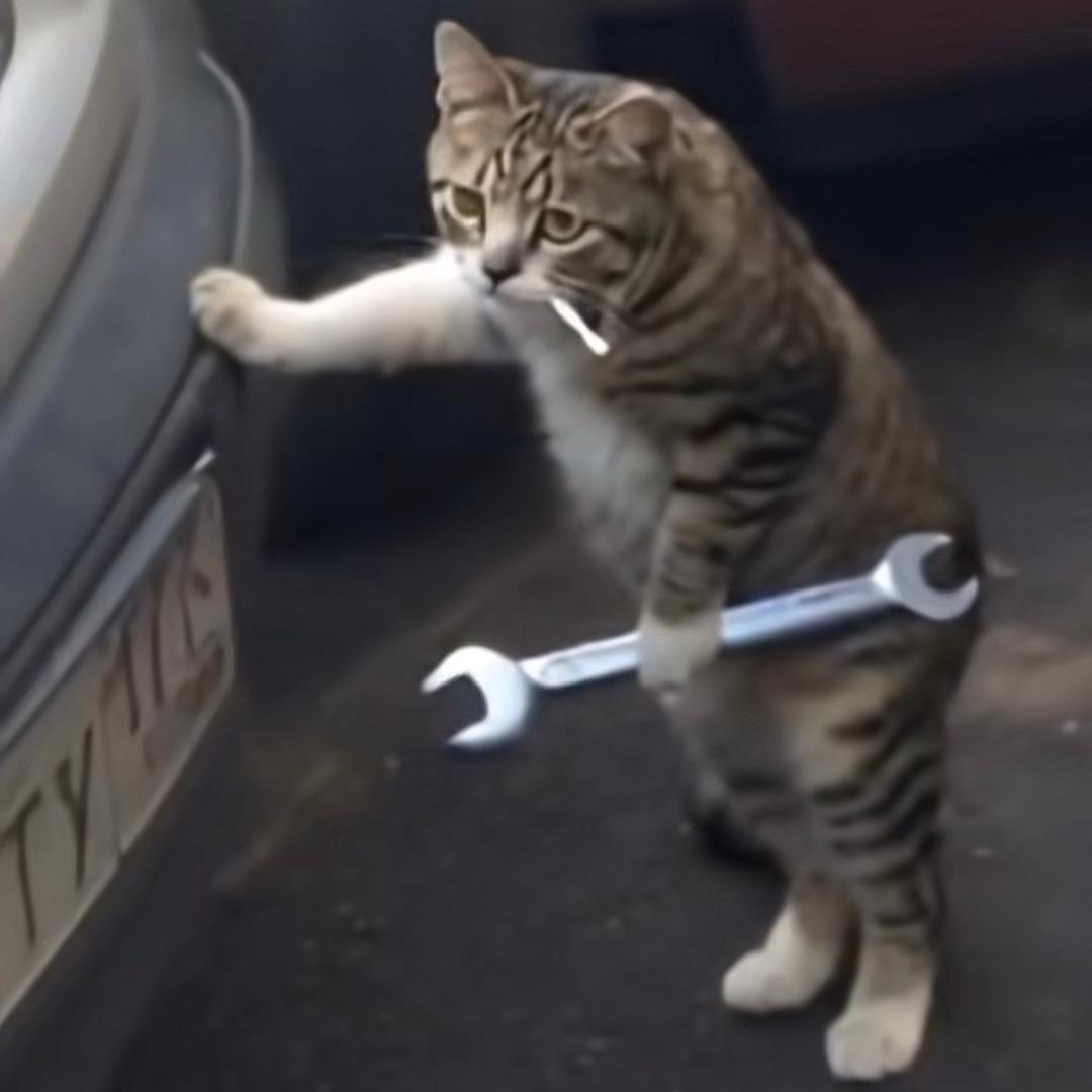 黑猫警长