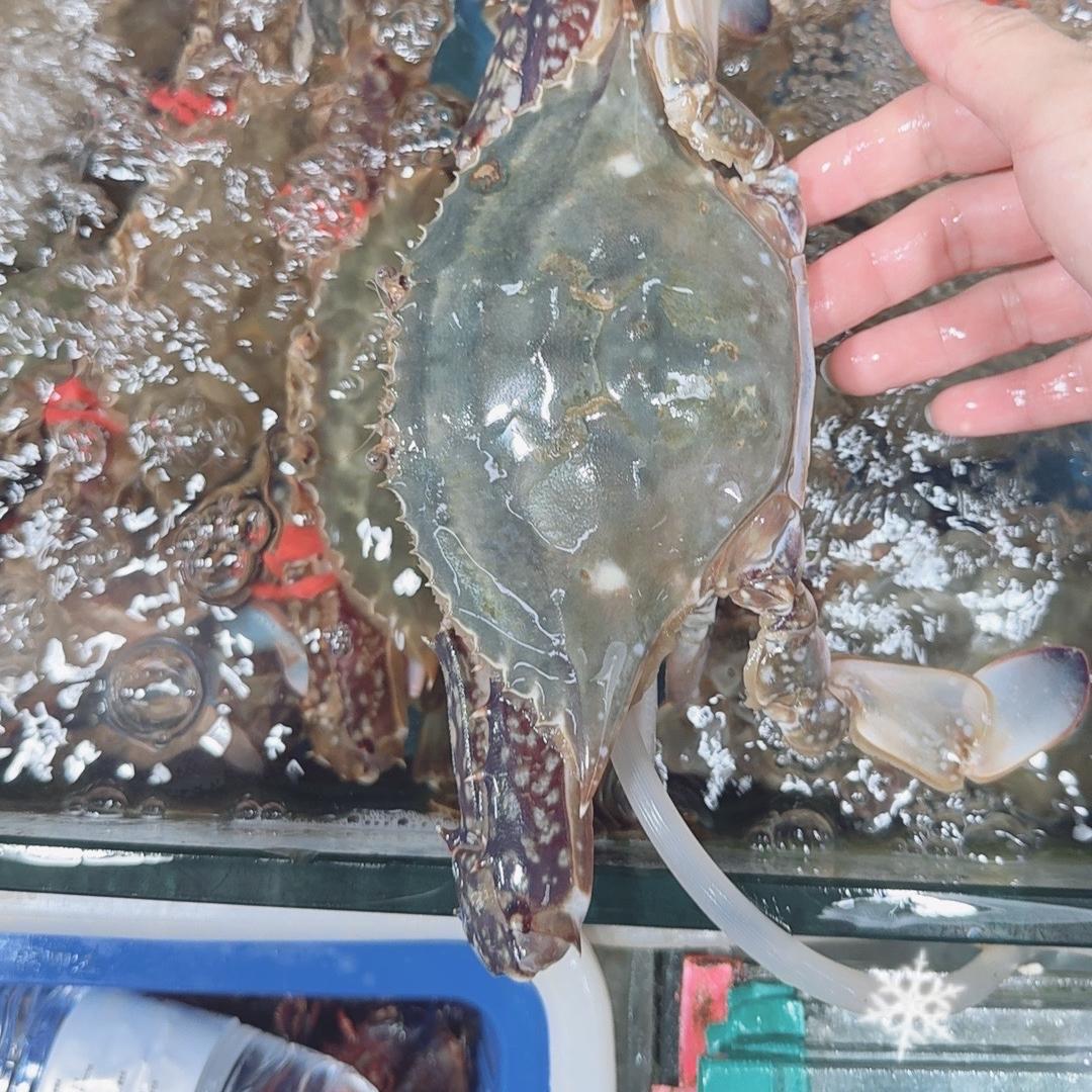 车记海鲜小时达