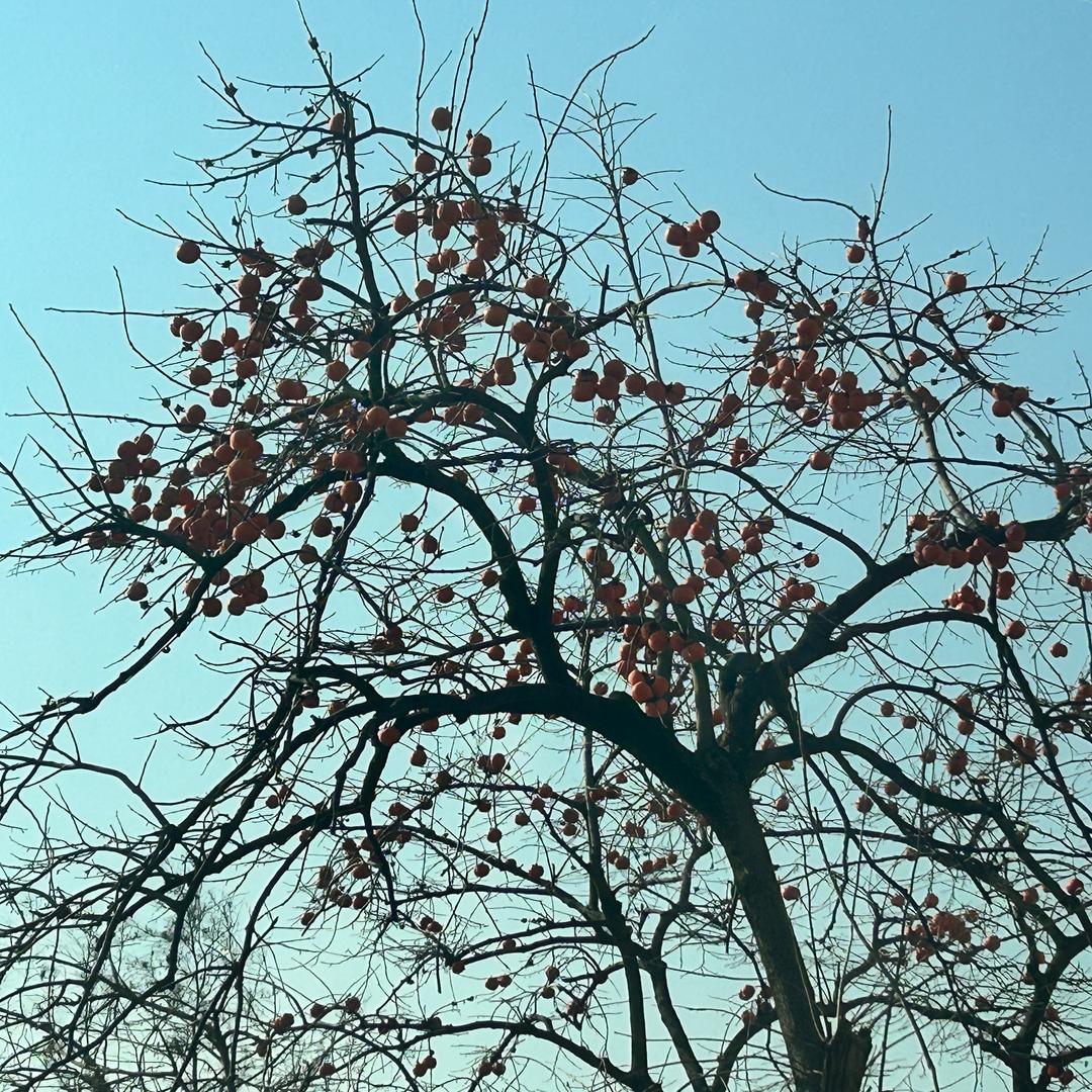 AAA建材批发王总