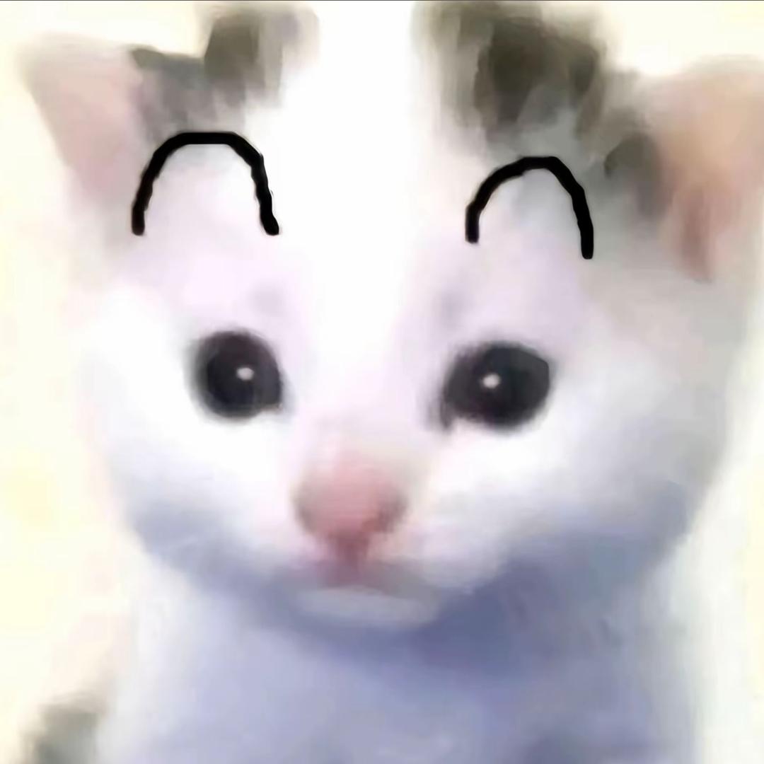 橘芽芽