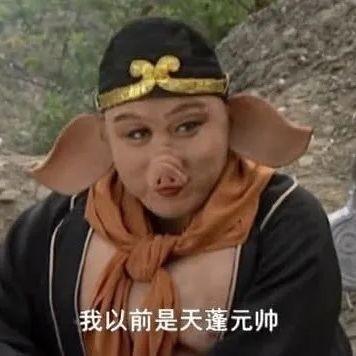 吃斋的小熊
