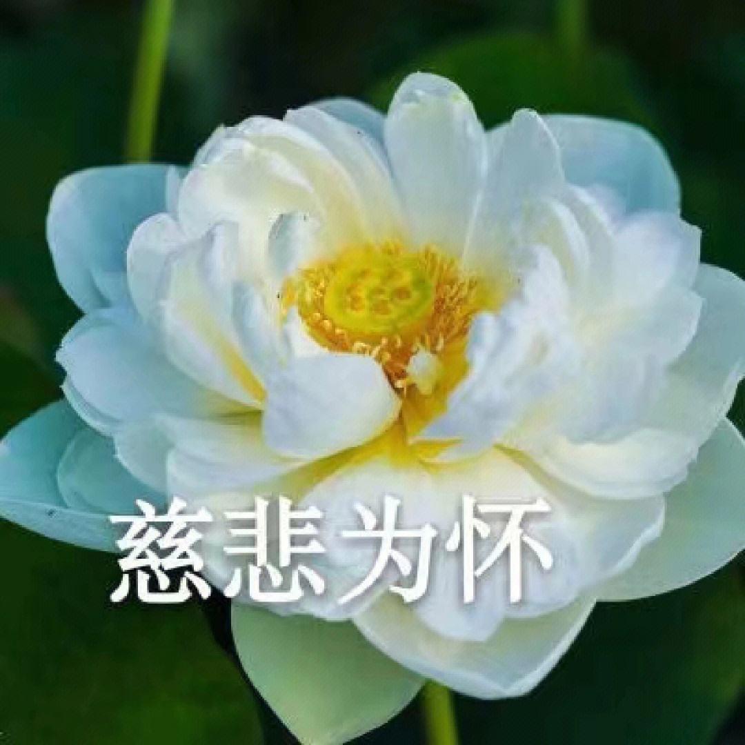风花雪梦