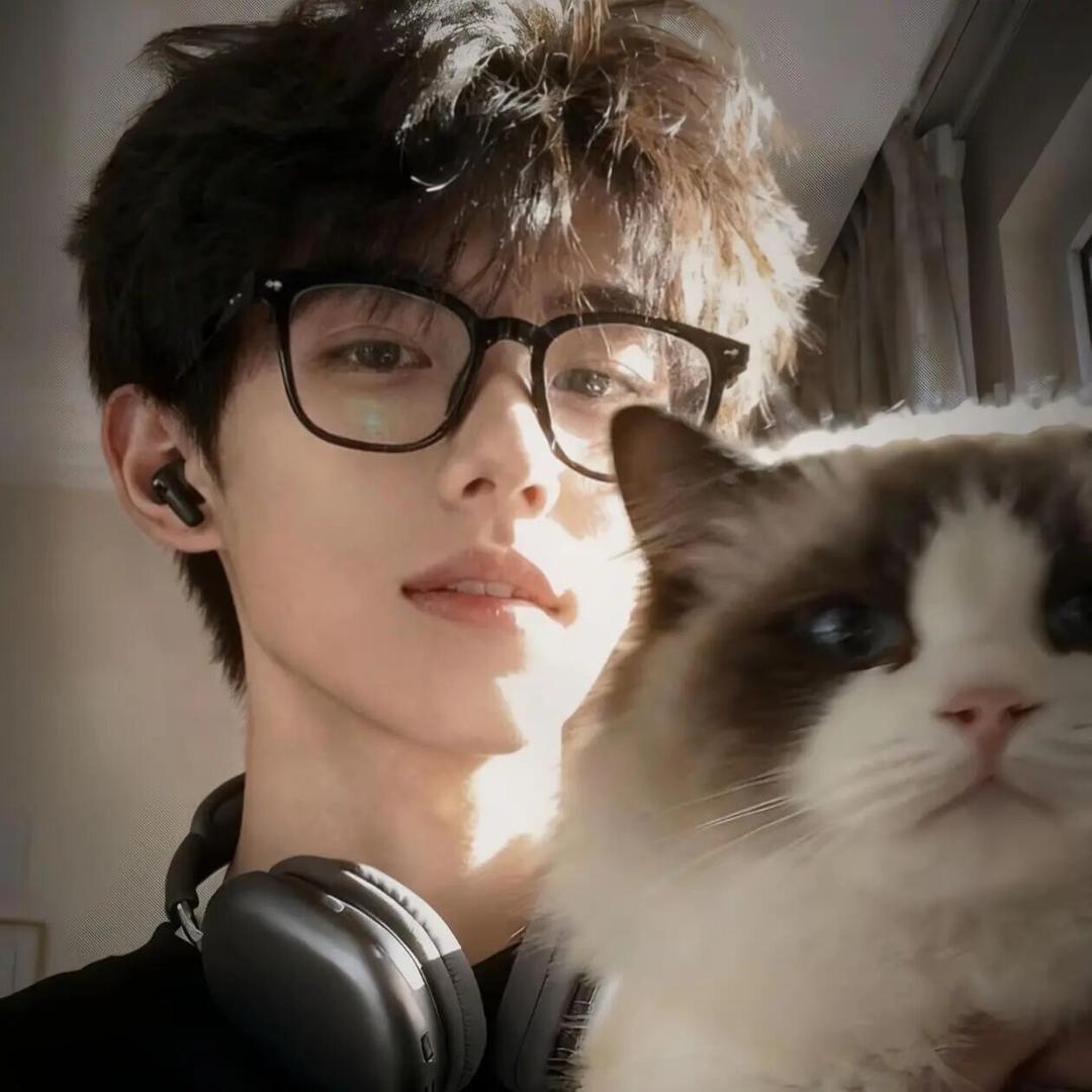 💤💤（增肌版）